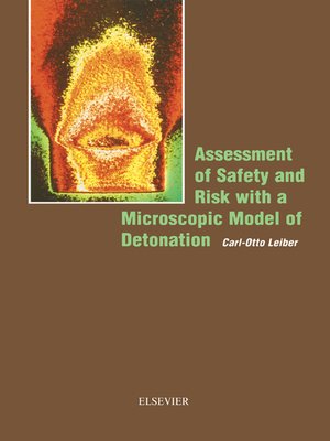 cover image of Assessment of Safety and Risk with a Microscopic Model of Detonation